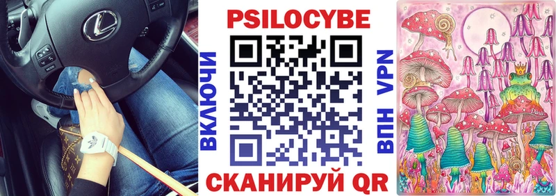 Псилоцибиновые грибы MAGIC MUSHROOMS  где найти   Волжск 